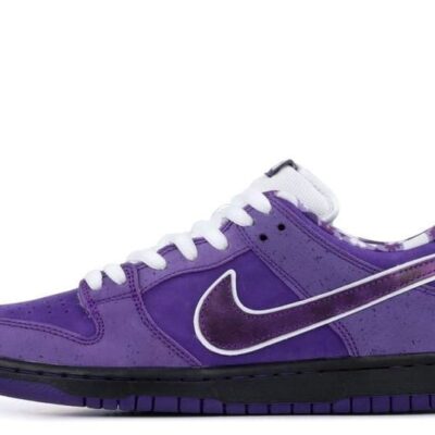 Nike CONCEPTS X DUNK LOW SB ‘PURPLE LOBSTER’