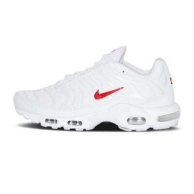 Nike Air Max Plus TN ‘WOLF GRAY’