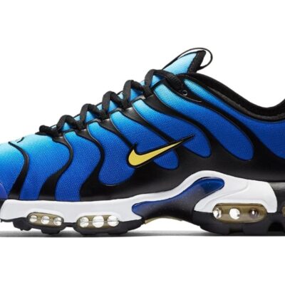 Nike Air Max Plus TN ‘BLUE’