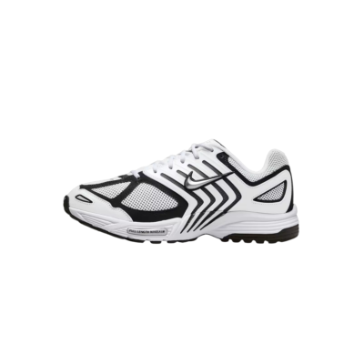 Nike Air Pegasus 2005 “Black/White”