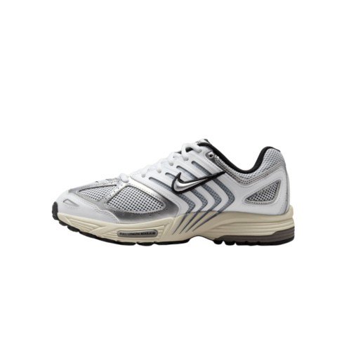 Nike Air Pegasus 2005 “Summit White / Metallic Silver”